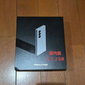 国内版 galaxy Z fold 6 美品 カバー等オマケ付