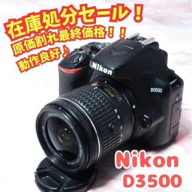 ✨Nikon D3500✨高性能 軽量 一眼レフ ニコン ハイアマ カメラ