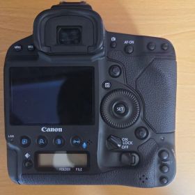 低速動作OK】Canon EOS-1D X ボディ