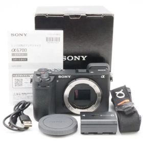 SONY (ソニー) α6700 ボディ ILCE-6700ショット数386回