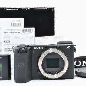 8988ショット!! 新品級 Sony α6700 ボディ け０４