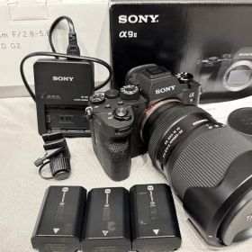 SONY α9II ILCE-9M2 + TAMRON 25-200mm