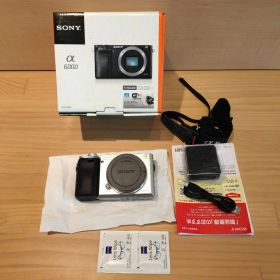 美品sony α6000 ボディ 防湿庫保管品