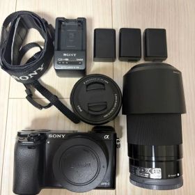 SONY α6000 ミラーレス一眼カメラ ダブルズームキット