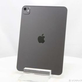 (中古)Apple iPad Pro 11インチ(M5) 標準ガラス 1TB スペースブラック MDWP4J/A Wi-Fi(295-ud)