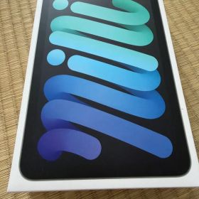 Apple iPad mini 第7世代 128G Wi-Fi+Cellular