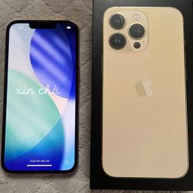 Apple iPhone 13 Pro ゴールド 本体 256GB