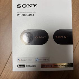 SONY ワイヤレスイヤホン WF-1000XM3 本体 中古