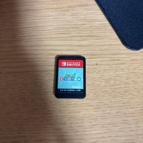 Nintendo Switch ソフト あつまれどうぶつの森ケース付き