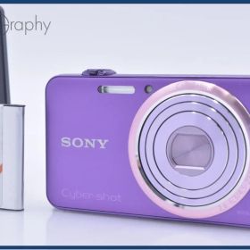 【動作保証】 ソニー SONY Cyber-shot DSC-WX70 5x バッテリー、充電器付属 同梱無料 #yk9971