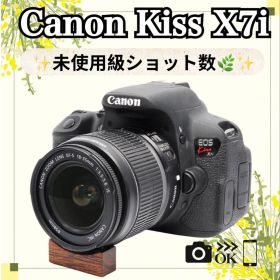 ⭐️新品級ショット数⭐️Canon Kiss X7i キャノン 一眼レフ 初心者