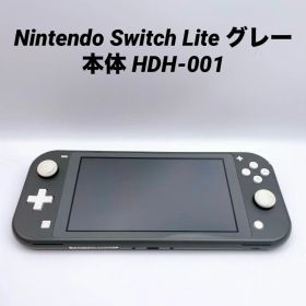 Nintendo Switch Lite グレー 本体 HDH-001