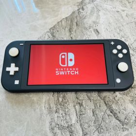 【完動品】Nintendo Switch lite グレー