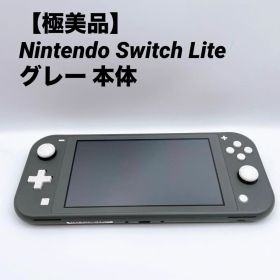 【極美品】Nintendo Switch Lite グレー 本体
