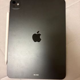 大幅値下げ11インチiPad pro m5 256GB Apple Pencil