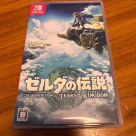 ゼルダの伝説 ティアーズ オブ ザ キングダム