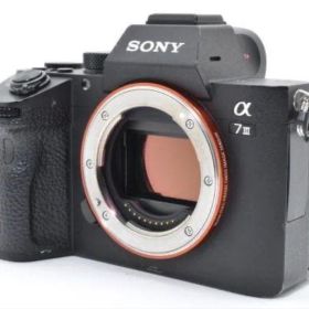 SONY α7III / ILCE-7M3＜ショット数 17641回〉