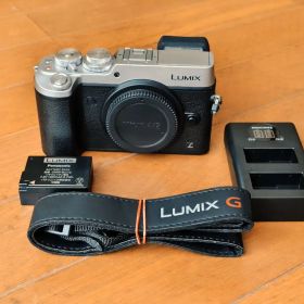 Panasonic LUMIX DMC-GX8 シャッター1205回