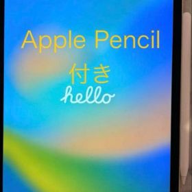 iPad pro 11インチ 64GB Cellular pencil 付き