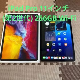 Apple iPad Pro 11インチ (第2世代) 256GB