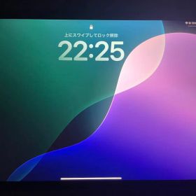 Apple iPad Pro 11インチ 第4世代 本体