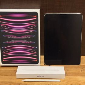 iPad Pro 11インチ (M2) Wi-Fi+Cellular