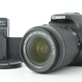 【美品 シャッターカウント 20491回】Canon EOS Kiss X7 / EF-S 18-55mm F3.5-5.6 IS STM キャノン デジタル一眼レフカメラ EF-TN-JP2770