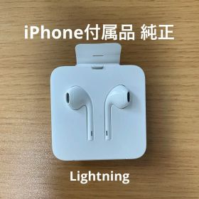 Apple EarPods with Lightning Connector