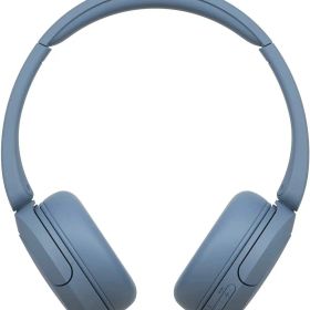 ソニー(SONY) ワイヤレスヘッドホン WH-CH520:Bluetooth対応/軽量設計 約147g/専用アプリ対応により好みの音質にカスタマイズできる「イコライザー」設定対応/ブルー WH-CH520 L 小