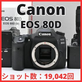 F26[8030]41 キヤノン Canon EOS 80D ボディ 【ショット数 19，042回】