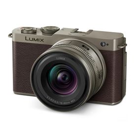 Panasonic LUMIX DC-S9N-N 広角ズームレンズキット [チタンゴールド]【お取り寄せ（２週から３週間程度での入荷、発送）】（2100000017460）