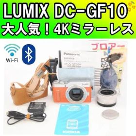 ショット数少！美品✨LUMIX DC-GF10✨スマホ転送搭載 ミラーレス