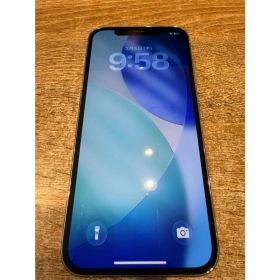【特価品】iPhone12Pro 256GB シルバー SIMフリー MGMA3J/A A324