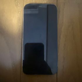 Apple iPhone 12 Pro 本体