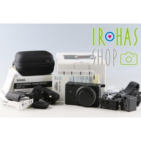 Sigma fp L + Vewfinder EVF-11 + Hand Grip HG-11 With Box #65383L7