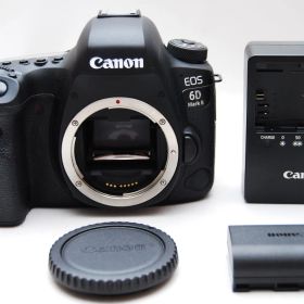 ★美品 ショット数6563回 Canon デジタル一眼レフカメラ EOS 6D Mark II ボディー EOS6DMK2★