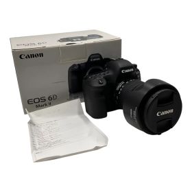 ■ 美品 Canon EOS 6D Mark II EF 24-105mm IS STM レンズキット フルサイズ デジタル一眼レフカメラ 2719887,2719887