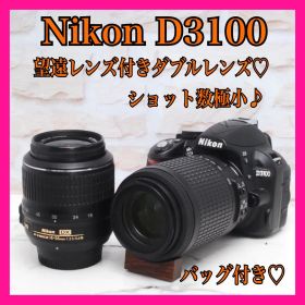 ❤️ショット数僅か787回❤️Nikon D3100 ✨️届いてすぐ使えるフルセット✨️