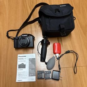 Panasonic LUMIX DC-G100 ミラーレス一眼 本体