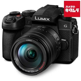 パナソニック LUMIX DC-G99M2H レンズキット ルミックス ミラーレス一眼カメラ マイクロフォーサーズ 防塵防滴 高速AF 《納期約3－4週間》