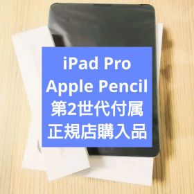 正規品｜iPad Pro 11インチ 第2世代 Apple Pencil 付属