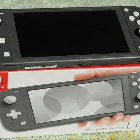 Nintendo Switch Lite グレー 箱・純正充電器付 動作確認済