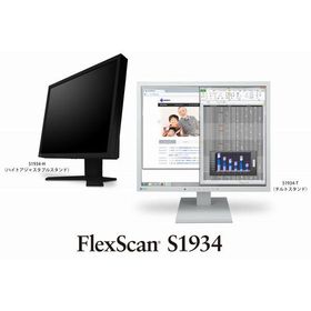 EIZO 48cm(19.0)型カラー液晶モニター FlexScan S1934-H セレーングレイ S1934-HGY 代引不可