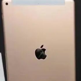 iPad第7世代本体ピンク系 Wi-Fi+Cellular 函 充電器 説明書付