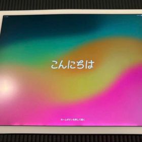 IpadPro12.9インチ第2世代 付属品付き