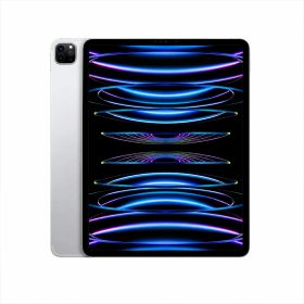 【美品】iPad Pro第6世代 12.9インチ 128GB Wi-Fi＋Cellularセルラー シルバー 動作確認済・安心保証付き