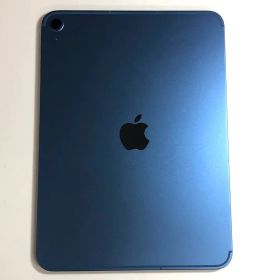 【超美品】Apple iPad A16 第11世代 256GB セルラー