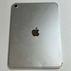 【ジャンク品】iPad A16 第11世代 256GB セルラー