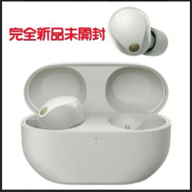SONY ワイヤレスイヤホン WF-1000XM5 プラチナシルバー