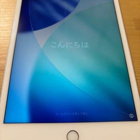 Apple iPad mini 5 本体 箱・付属品付